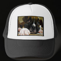 Boxer puppy Baseball cap hats