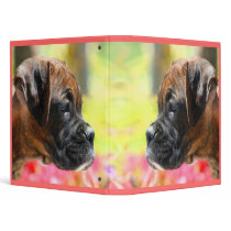 Boxer puppy binder