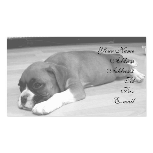 Boxer puppy business cards (front side)