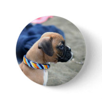 Boxer Puppy button