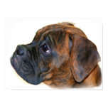 Boxer puppy canvas print Boxer puppy canvas print