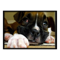 Boxer Puppy canvas print