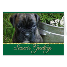 Boxer puppy cards