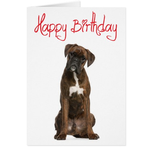 Boxer Puppy Dog Happy Birthday Card Verse Zazzle