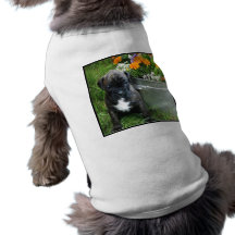 Boxer puppy doggie t-shirt
