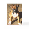 Boxer Puppy greeting card by ritmoboxer Boxer Puppy greeting card