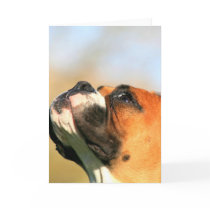 Boxer Puppy greeting card by ritmoboxer Boxer Puppy greeting card