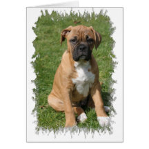 Boxer Puppy Greeting Card