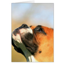 Boxer Puppy greeting card