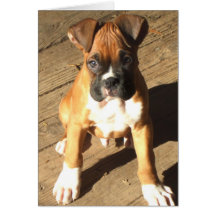 Boxer Puppy greeting card