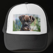 Boxer puppy hat by ritmoboxer Boxer puppy hat