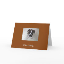 Boxer puppy I'm sorry card. by susan52z Boxer puppy I'm sorry card.