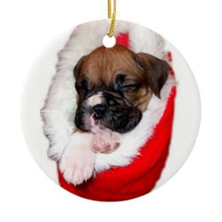 Boxer puppy in Christmas Stocking ornament ornament