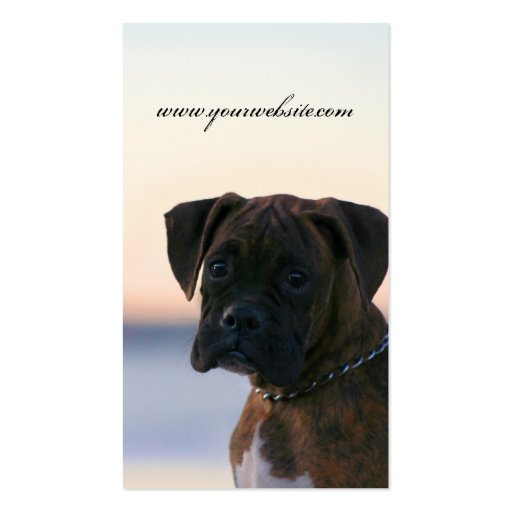 Boxer puppy in evening sky business cards