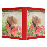 Boxer Puppy in Petunias binder