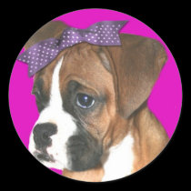 Boxer puppy in Pink stickers