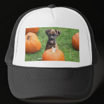 Boxer Puppy in Pumpkin Patch hat hats