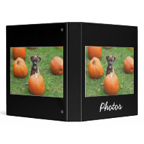 Boxer puppy in pumpking patch photo binder by ritmoboxer Boxer puppy in pumpking patch photo binder