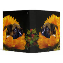 Boxer puppy in Sunflower Binder