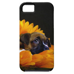 Boxer puppy in sunflower iPhone 5 cases