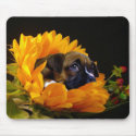 Boxer puppy in Sunflower mousepad by ritmoboxer Boxer puppy in Sunflower mousepad