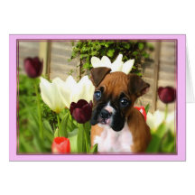 Boxer puppy in Tulips Notecard