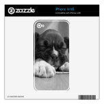 Boxer puppy iphone 4/4s skin decals for the iPhone 4