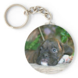 Boxer puppy keychain