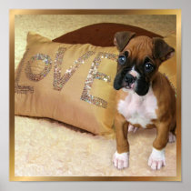 Boxer puppy love canvas print