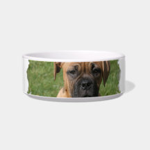 Boxer Puppy Pet Bowl Cat Food Bowl