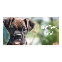 Boxer puppy photocard by ritmoboxer Boxer puppy photocard
