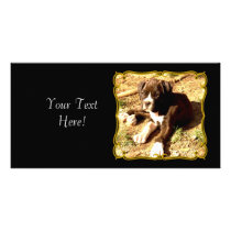 Boxer puppy photocard