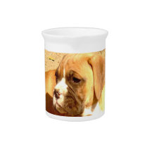Boxer puppy pitcher