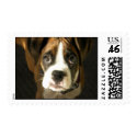 Boxer Puppy stamp