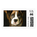 Boxer Puppy postage