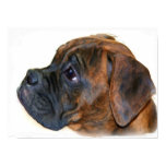 Boxer puppy poster Boxer puppy poster