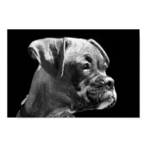 Boxer Puppy Poster posters