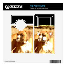 Boxer puppy flip video mino decals