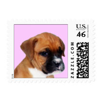 Boxer puppy small stamps