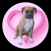 Boxer puppy sticker stickers