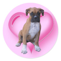 Boxer puppy sticker