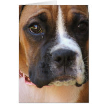 Boxer Rescue Greeting Card