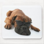 Boxer sleeping and wearing shades. mousepads