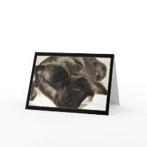 Boxer sleeping greeting card by ritmoboxer Boxer sleeping greeting card