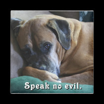 Boxer:  Speak No Evil magnets