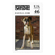 Boxer Stamp