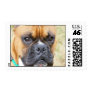 Boxer Stamp