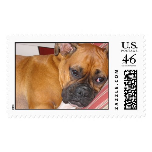 Boxer Stamp stamp