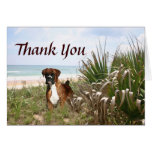 Boxer Thank You Card Hiding In The Beachgrass