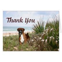 Boxer Thank You Card Hiding In The Beachgrass